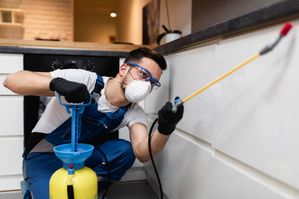 Best Bed Bug Extermination  in Seeley Lake, MT