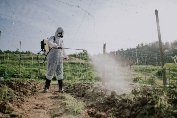 Best Commercial Pest Control Services  in Seeley Lake, MT