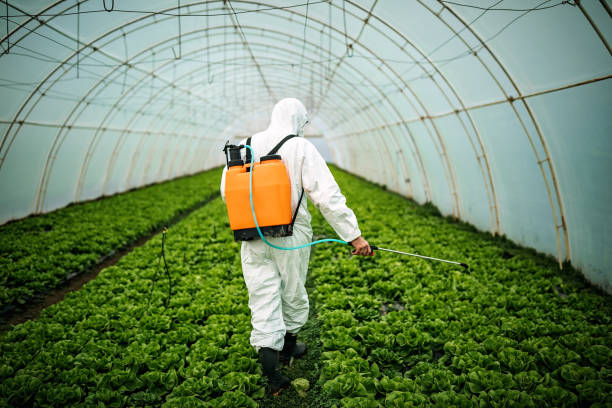 Best Pest Removal Services  in Seeley Lake, MT