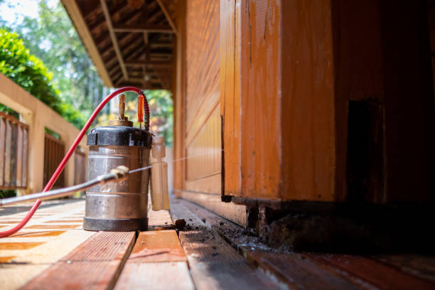 Best Pest Prevention Services  in Seeley Lake, MT
