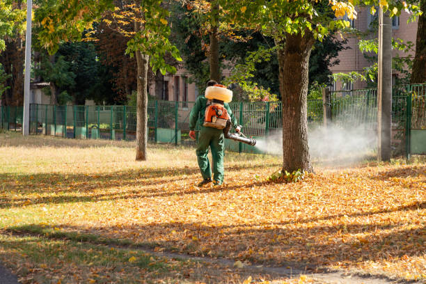 Best Flea Control Services  in Seeley Lake, MT