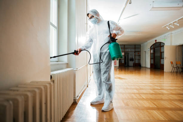 Best Affordable Pest Control Services  in Seeley Lake, MT