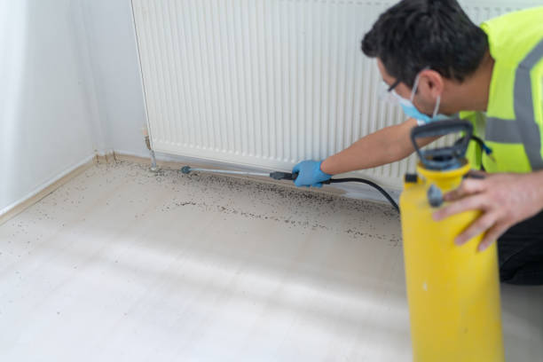 Best Best Pest Control Companies  in Seeley Lake, MT