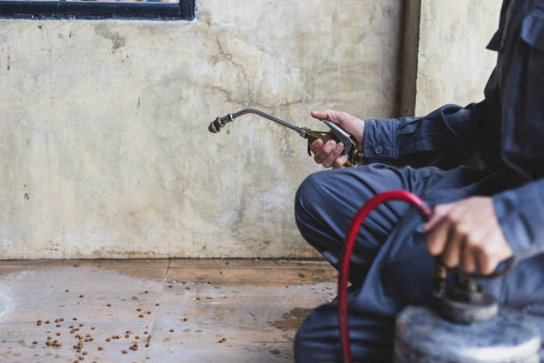 Pest Prevention Services in Seeley Lake, MT