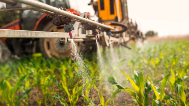 Best Pest Prevention Services  in Seeley Lake, MT