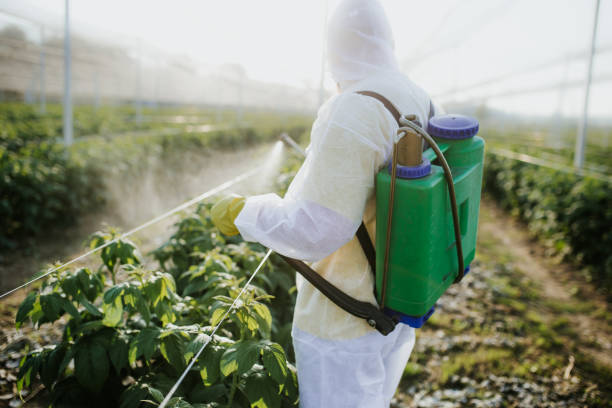 Best Cockroach Control Services  in Seeley Lake, MT